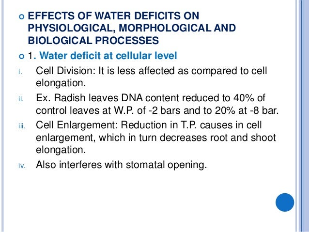 Physiological Changes In Plants During Moisture Stress Condition