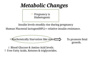 Comprehensive Overview of Physiological Changes in Pregnancy and Their ...