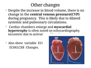 Comprehensive Overview of Physiological Changes in Pregnancy and Their ...