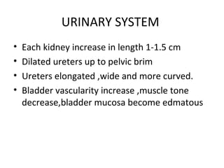 URINARY SYSTEM
• Each kidney increase in length 1-1.5 cm
• Dilated ureters up to pelvic brim
• Ureters elongated ,wide and more curved.
• Bladder vascularity increase ,muscle tone
decrease,bladder mucosa become edmatous
 