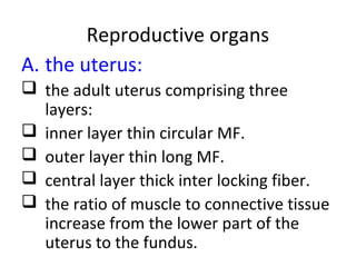 Reproductive organs
A. the uterus:
 the adult uterus comprising three
layers:
 inner layer thin circular MF.
 outer layer thin long MF.
 central layer thick inter locking fiber.
 the ratio of muscle to connective tissue
increase from the lower part of the
uterus to the fundus.
 