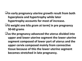in early pregnancy uterine growth result from both
hyperplasia and hypertrophy while later
hypertrophy accounts for most of increase.
it weight one kilo gram at term( in pre pregnancy
50-60 grams
as the pregnancy advanced the uterus divided into
upper and lower uterine segment the lower uterine
segment composed of lower part of uterus and the
upper cervix composed mainly from connective
tissue because of this the lower uterine segment
becomes stretched in late pregnancy.
 