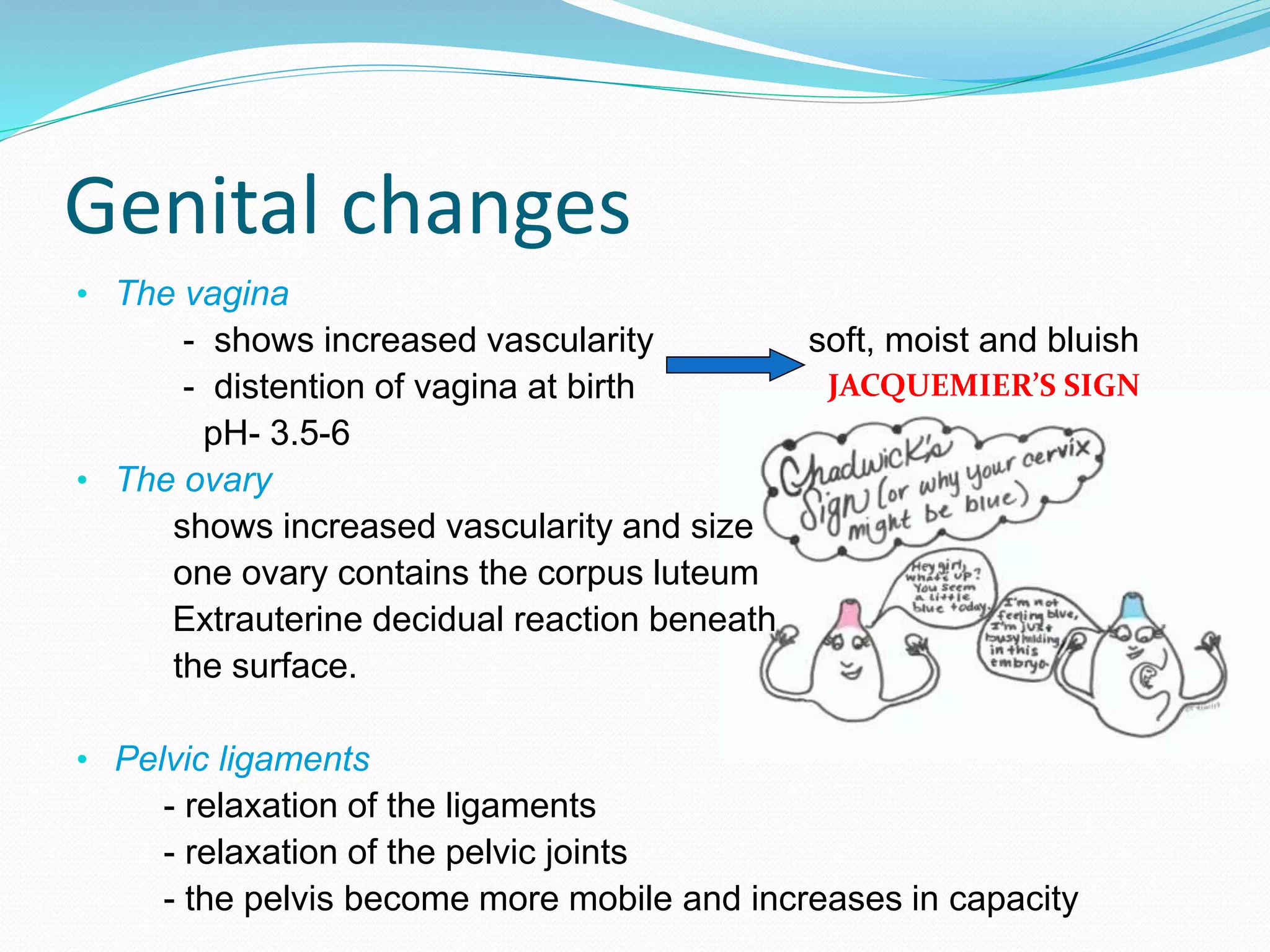 Physiological changes in pregnancy | PPTX