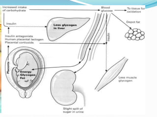 Physiological changes in pregnancy | PPTX