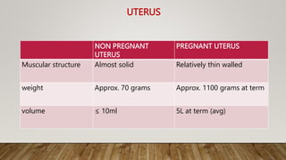 UTERUS
NON PREGNANT
UTERUS
PREGNANT UTERUS
Muscular structure Almost solid Relatively thin walled
weight Approx. 70 grams Approx. 1100 grams at term
volume ≤ 10ml 5L at term (avg)
 