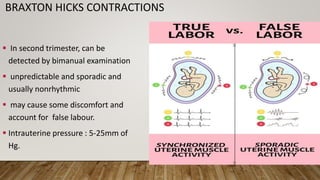 BRAXTON HICKS CONTRACTIONS
 In second trimester, can be
detected by bimanual examination
 unpredictable and sporadic and
usually nonrhythmic
 may cause some discomfort and
account for false labour.
 Intrauterine pressure : 5-25mm of
Hg.
 