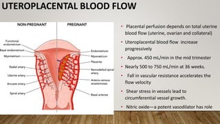 UTEROPLACENTAL BLOOD FLOW
• Placental perfusion depends on total uterine
blood flow (uterine, ovarian and collateral)
• Uteroplacental blood flow increase
progressively
• Approx. 450 mL/min in the mid trimester
• Nearly 500 to 750 mL/min at 36 weeks.
• Fall in vascular resistance accelerates the
flow velocity
• Shear stress in vessels lead to
circumferential vessel growth.
• Nitric oxide—a potent vasodilator has role
 