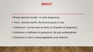 BREAST
 Breast become tender in early pregnancy.
 From second month, the breasts grow in size.
 Colostrum- can be seen as early as 12weeks of pregnancy
 Colostrum is deficient in potassium, fat and carbohydrate.
 Colostrum is rich in immunoglobulin and vitamins.
 
