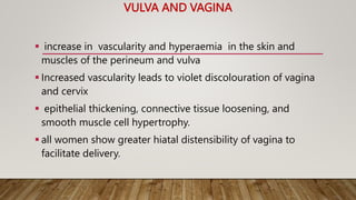 VULVA AND VAGINA
 increase in vascularity and hyperaemia in the skin and
muscles of the perineum and vulva
 Increased vascularity leads to violet discolouration of vagina
and cervix
 epithelial thickening, connective tissue loosening, and
smooth muscle cell hypertrophy.
 all women show greater hiatal distensibility of vagina to
facilitate delivery.
 