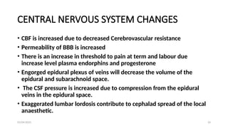 03/04/2025 24
CENTRAL NERVOUS SYSTEM CHANGES
• CBF is increased due to decreased Cerebrovascular resistance
• Permeability of BBB is increased
• There is an increase in threshold to pain at term and labour due
increase level plasma endorphins and progesterone
• Engorged epidural plexus of veins will decrease the volume of the
epidural and subarachnoid space.
• The CSF pressure is increased due to compression from the epidural
veins in the epidural space.
• Exaggerated lumbar lordosis contribute to cephalad spread of the local
anaesthetic.
 
