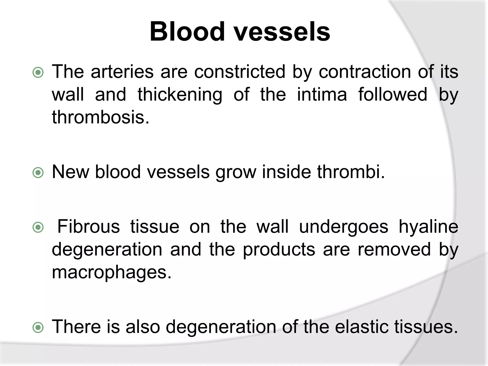 Blood vessels
 The arteries are constricted by contraction of its
wall and thickening of the intima followed by
thrombosis.
 New blood vessels grow inside thrombi.
 Fibrous tissue on the wall undergoes hyaline
degeneration and the products are removed by
macrophages.
 There is also degeneration of the elastic tissues.
 