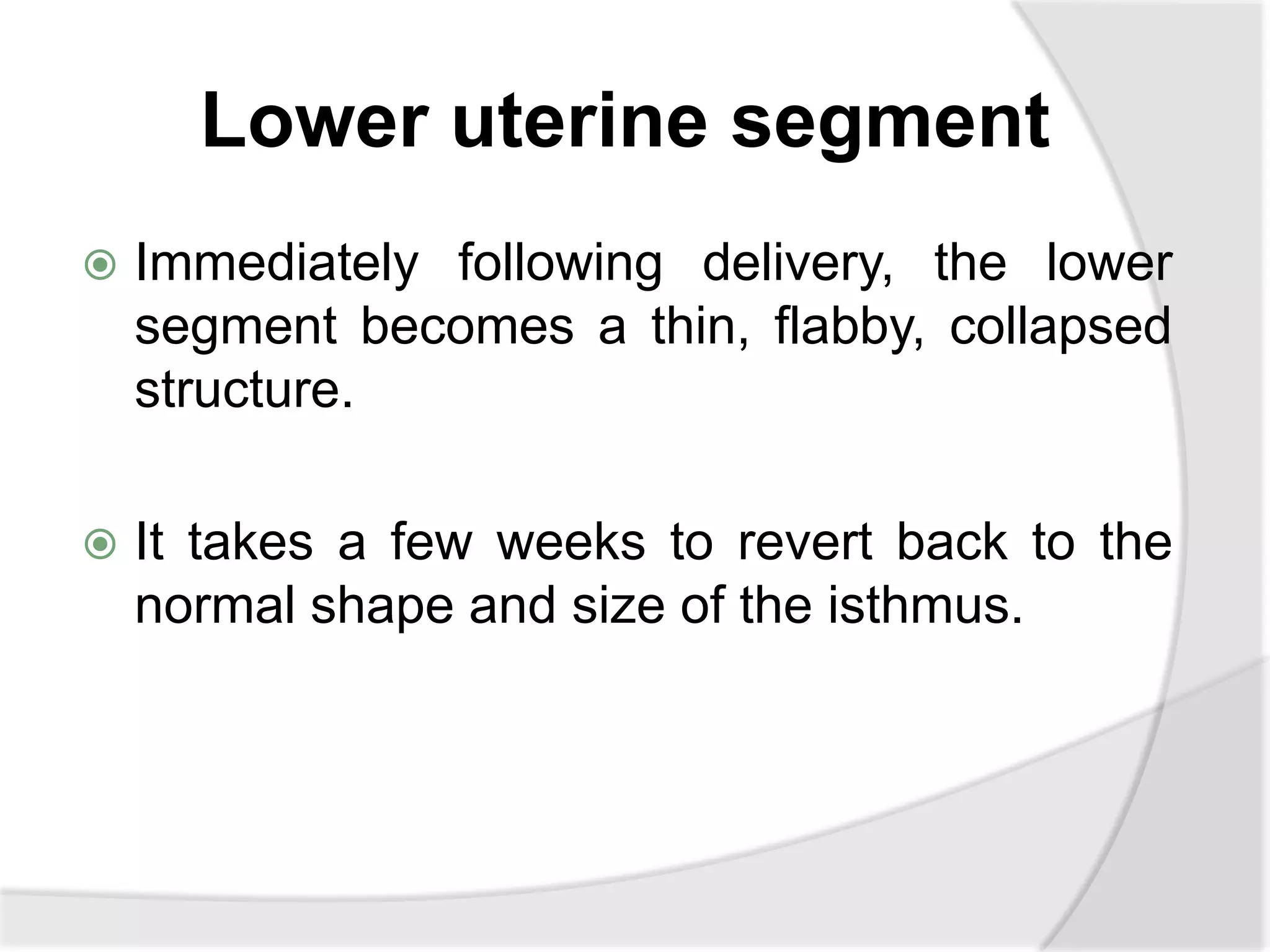 Lower uterine segment
 Immediately following delivery, the lower
segment becomes a thin, flabby, collapsed
structure.
 It takes a few weeks to revert back to the
normal shape and size of the isthmus.
 