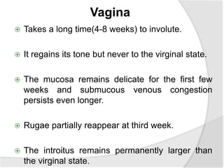 Vagina
 Takes a long time(4-8 weeks) to involute.
 It regains its tone but never to the virginal state.
 The mucosa remains delicate for the first few
weeks and submucous venous congestion
persists even longer.
 Rugae partially reappear at third week.
 The introitus remains permanently larger than
the virginal state.
 