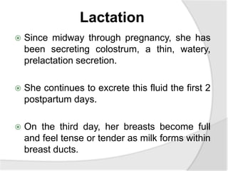Lactation
 Since midway through pregnancy, she has
been secreting colostrum, a thin, watery,
prelactation secretion.
 She continues to excrete this fluid the first 2
postpartum days.
 On the third day, her breasts become full
and feel tense or tender as milk forms within
breast ducts.
 