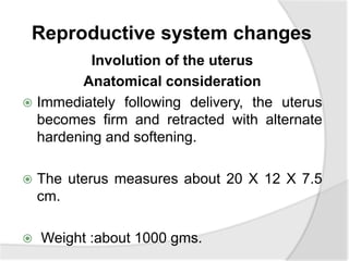 Reproductive system changes
Involution of the uterus
Anatomical consideration
 Immediately following delivery, the uterus
becomes firm and retracted with alternate
hardening and softening.
 The uterus measures about 20 X 12 X 7.5
cm.
 Weight :about 1000 gms.
 