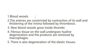1.Blood vessels ;
2.The arteries are constricted by contraction of its wall and
thickening of the intima followed by thrombosis.
3. New blood vessels grow inside thrombi.
4. Fibrous tissue on the wall undergoes hyaline
degeneration and the products are removed by
macrophages.
5. There is also degeneration of the elastic tissues.
 