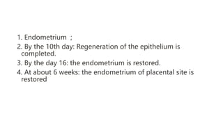 1. Endometrium ;
2. By the 10th day: Regeneration of the epithelium is
completed.
3. By the day 16: the endometrium is restored.
4. At about 6 weeks: the endometrium of placental site is
restored
 