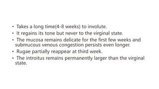 • Takes a long time(4-8 weeks) to involute.
• It regains its tone but never to the virginal state.
• The mucosa remains delicate for the first few weeks and
submucous venous congestion persists even longer.
• Rugae partially reappear at third week.
• The introitus remains permanently larger than the virginal
state.
 