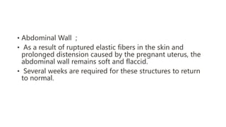 • Abdominal Wall ;
• As a result of ruptured elastic fibers in the skin and
prolonged distension caused by the pregnant uterus, the
abdominal wall remains soft and flaccid.
• Several weeks are required for these structures to return
to normal.
 