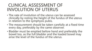 CLINICAL ASSESSMENT OF
INVOLUTION OF UTERUS
• The rate of involution of the uterus can be assessed
clinically by noting the height of the fundus of the uterus
in relation to the symphysis pubis.
• The measurement should be taken carefully at a fixed time
every day, preferably by the same observer.
• Bladder must be emptied before hand and preferably the
bowel too, as the full bladder and the loaded bowel may
arise the level of the fundus of the uterus.
 