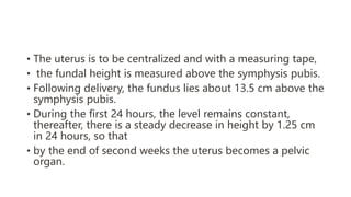 • The uterus is to be centralized and with a measuring tape,
• the fundal height is measured above the symphysis pubis.
• Following delivery, the fundus lies about 13.5 cm above the
symphysis pubis.
• During the first 24 hours, the level remains constant,
thereafter, there is a steady decrease in height by 1.25 cm
in 24 hours, so that
• by the end of second weeks the uterus becomes a pelvic
organ.
 