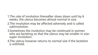 1.The rate of involution thereafter slows down until by 6
weeks, the uterus becomes almost normal in size.
2.The involution may be affected adversely and is called
subinvolution.
3.Sometimes the involution may be continued in women
who are lactating so that the uterus may be smaller in size-
super involution.
4.The uterus however returns to normal size if the lactation
is withheld.
 