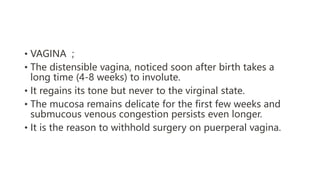 • VAGINA ;
• The distensible vagina, noticed soon after birth takes a
long time (4-8 weeks) to involute.
• It regains its tone but never to the virginal state.
• The mucosa remains delicate for the first few weeks and
submucous venous congestion persists even longer.
• It is the reason to withhold surgery on puerperal vagina.
 