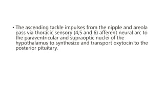 • The ascending tackle impulses from the nipple and areola
pass via thoracic sensory (4,5 and 6) afferent neural arc to
the paraventricular and supraoptic nuclei of the
hypothalamus to synthesize and transport oxytocin to the
posterior pituitary.
 