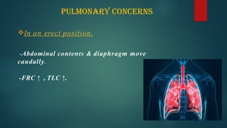 Pulmonary Concerns
In an erect position.
-Abdominal contents & diaphragm move
caudally.
-FRC ↑ , TLC ↑.
 