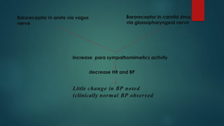 Baroreceptor in arota via vagus
nerve
Baroreceptor in carotid sinus
via glossopharyngeal nerve
Little change in BP noted
(clinically normal BP observed
Increase para sympathomimetics activity
decrease HR and BP
 