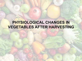 PHYSIOLOGICAL CHANGES IN
VEGETABLES AFTER HARVESTING
 
