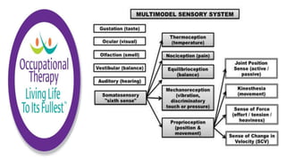 Physiological Changes of Aging & Occupational Therapy