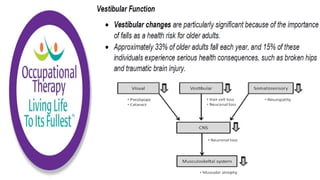 Physiological Changes of Aging & Occupational Therapy
