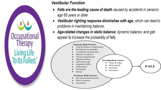 Physiological Changes of Aging & Occupational Therapy