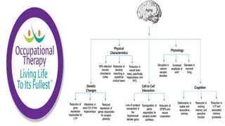Physiological Changes of Aging & Occupational Therapy