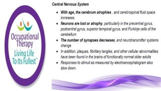 Physiological Changes of Aging & Occupational Therapy