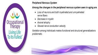 Physiological Changes of Aging & Occupational Therapy