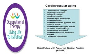 Physiological Changes of Aging & Occupational Therapy
