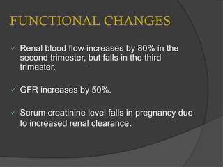 FUNCTIONAL CHANGES
 Renal blood flow increases by 80% in the
second trimester, but falls in the third
trimester.
 GFR increases by 50%.
 Serum creatinine level falls in pregnancy due
to increased renal clearance.
 