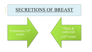 SECRETIONS OF BREAST
Colostrum (12th
week)
Thick &
yellowish
(16th week)
 