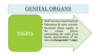 GENITAL ORGANS
• Wall becomes hypertrophied
• Edematous & more vascular
• Increased blood supply to
the venous plexus
surrounding the walls gives
bluish discoloration of the
mucosa(Jacquemier’s sign)
VAGINA
 