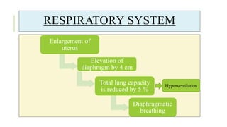 RESPIRATORY SYSTEM
Enlargement of
uterus
Elevation of
diaphragm by 4 cm
Total lung capacity
is reduced by 5 %
Diaphragmatic
breathing
Hyperventilation
 