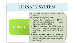 URINARY SYSTEM
• Dilatation of ureter, renal pelvis &
calyces
• Enlarges in length by 1cm
• Plasma flow increases by 50-70%
(16week & maintain until 34 weeks
thereafter it falls by 25%)
• GFR is increased by 50% leads to
reduction in maternal plasma, levels of
creatinine, blood urea, BUN & uric
acid.
• Renal tubules fails to reabsorb
glucose, uric acid, amino acids, water
soluble vitamins and other substance
completely.
KIDNEY
 
