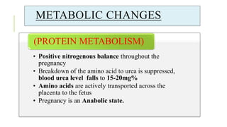 METABOLIC CHANGES
• Positive nitrogenous balance throughout the
pregnancy
• Breakdown of the amino acid to urea is suppressed,
blood urea level falls to 15-20mg%
• Amino acids are actively transported across the
placenta to the fetus
• Pregnancy is an Anabolic state.
(PROTEIN METABOLISM)
 