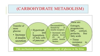 (CARBOHYDRATE METABOLISM)
Transfer of
more
glucose
• Increase
d insulin
secretion
• Hypertroph
y and
hyperplasia
of beta cells
of pancreas
Decreased(44%)
Sensitivity of
insulin receptors
• Increased new
plasma levels
d/t no. of
contra insulin
factors.
These are:
Estrogen,
progesterone,
HPL, cortisol,
prolactin, free
fatty acids
• Tissue
resistance to
insulin.
This mechanism ensures continues supply of glucose to the fetus
 