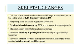 SKELETAL CHANGES
 Calcium absorption from intestines and kidneys are doubled due to
rise in the level of 1,25 dihydroxy vitamin D3
 Pregnancy does not cause hyperparathyroidism
 Calcitonin levels increase by 20% and protects from osteoporosis
 Maternal serum phosphate levels is unchanged
 Increased mobility of pelvic joint d/t softening of ligaments by
hormones
 Increased lumbar lordosis during later months d/t enlarged uterus
causing bakchache and waddling gate.
 
