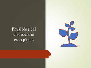 Physiological
disorders in
crop plants
 