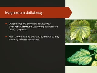 Infested Color physiological disorder.pptx