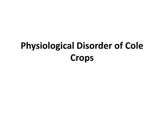 Physiological Disorder of Cole
Crops
 