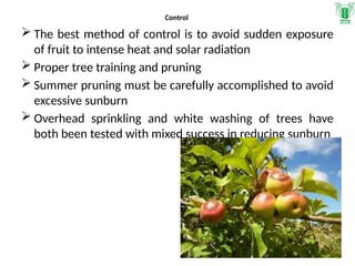 Physiological disorder Apple, the impotyant physiological disorders and ...